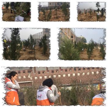 河南省体彩中心联合河南交通广播公益植树